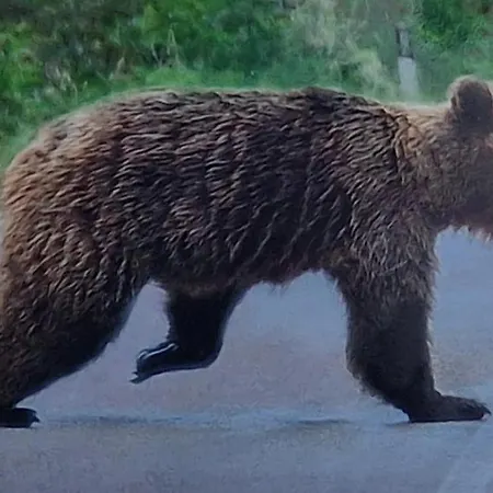 Dei Medici-la Casa Nel Parco * Pescasseroli